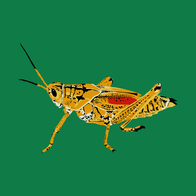 Eastern Lubber Grasshopper by stargatedalek