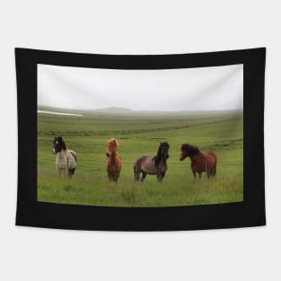 Icelandic Horses in an Open Field Tapestry
