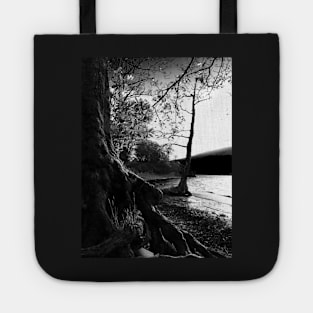 Rowardennan, Scotland Tote