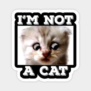 I'm here live, I'M NOT A CAT - Funny Zoom Chat Cat Magnet