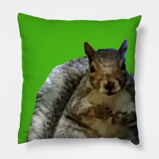 Big Animals Squirrel Abstract Pillow