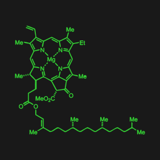 Green Chlorophyll T-Shirt