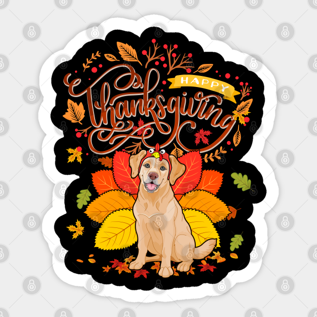 1st thanksgiving lessons