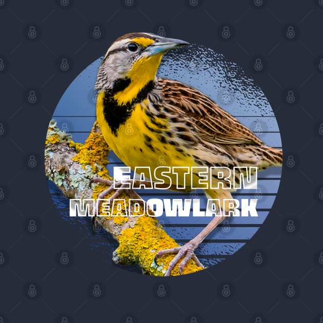 Eastern Meadowlark bird by cecatto1994