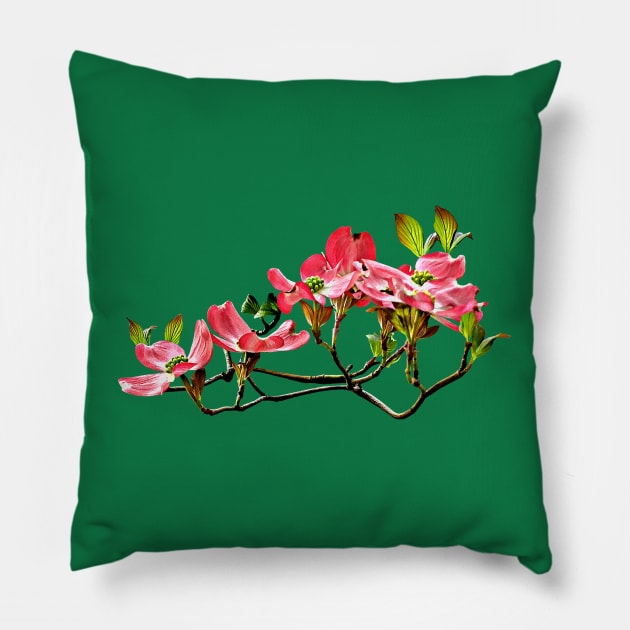 Dogwood - Pink Dogwood Pillow by SusanSavad