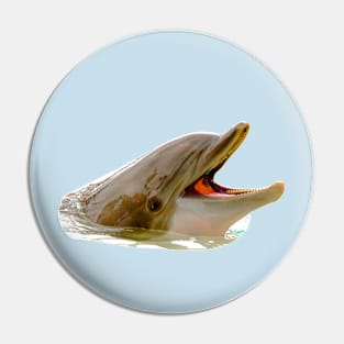 Laughing dolphin Pin