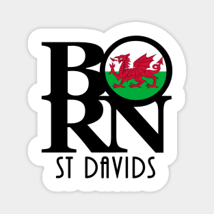 BORN St Davids Wales Magnet