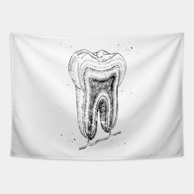 Human tooth structure Tapestry by erzebeth