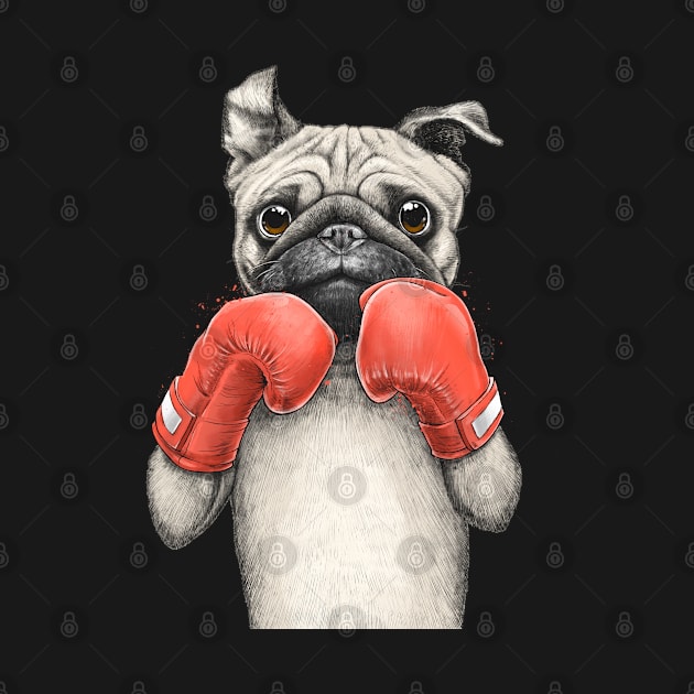 Pug boxer by NikKor