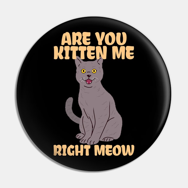 are you kitten me right meow cat kitting kidding Pin by auviba-design