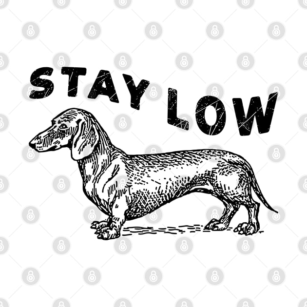 Dachshund Stay Low Adventure Dog White by 13Lines Art