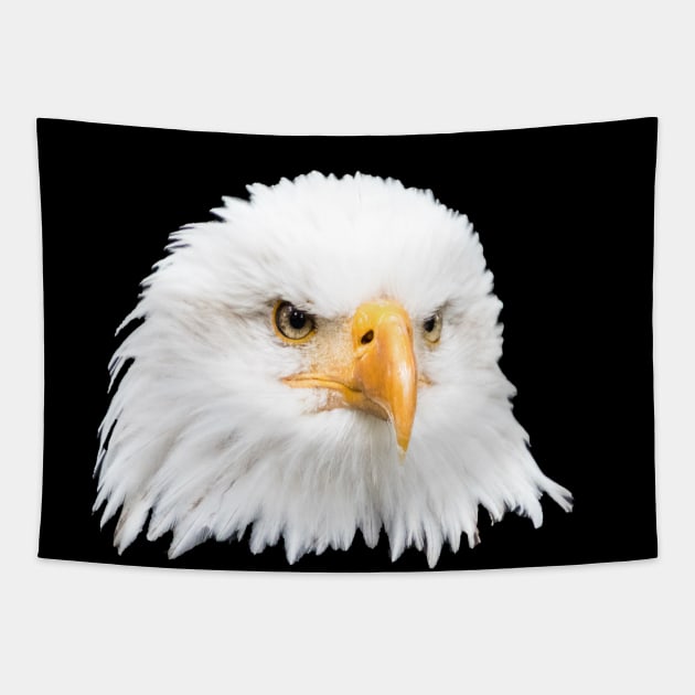Bald eagle Tapestry by Naturelovers