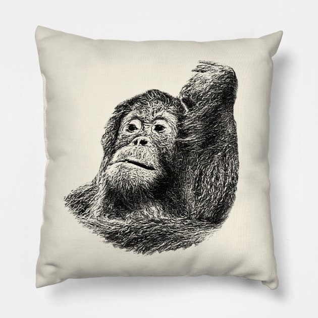 Orangutan Pillow by Guardi