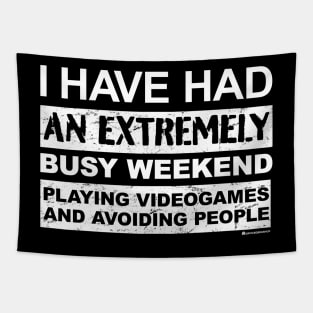 BUSY WEEKEND VIDEOGAMING AND AVOIDING PEOPLE Tapestry