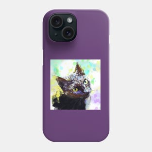 colorful cat Phone Case