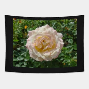 Pink Rose Tapestry