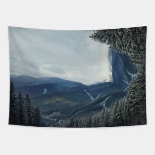 Carpathians Panorama Tapestry