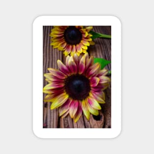 Two Wonderful Autumn Sunflowers Magnet