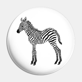 Zebra baby black & white watercolor painted realistic Pin