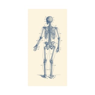 Backward Facing Skeletal Diagram - Vintage Anatomy Print T-Shirt