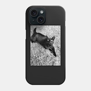 Black cat Phone Case