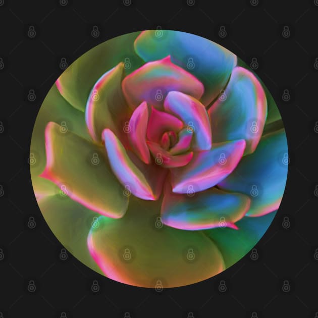 Pink Succulent by artbysavi