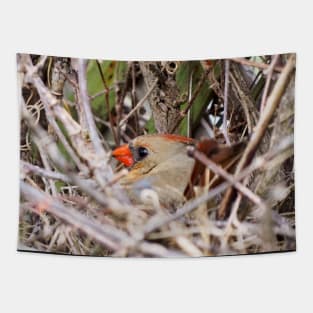 Female Northern Cardinal Sitting On Her Nest Tapestry