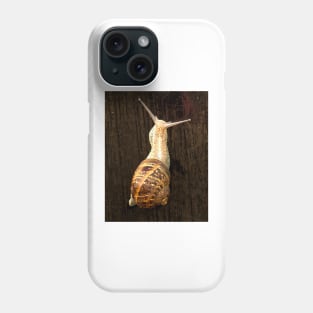 ibs snail Phone Case