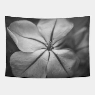 Delicate Bue Flower Photography V3 Tapestry