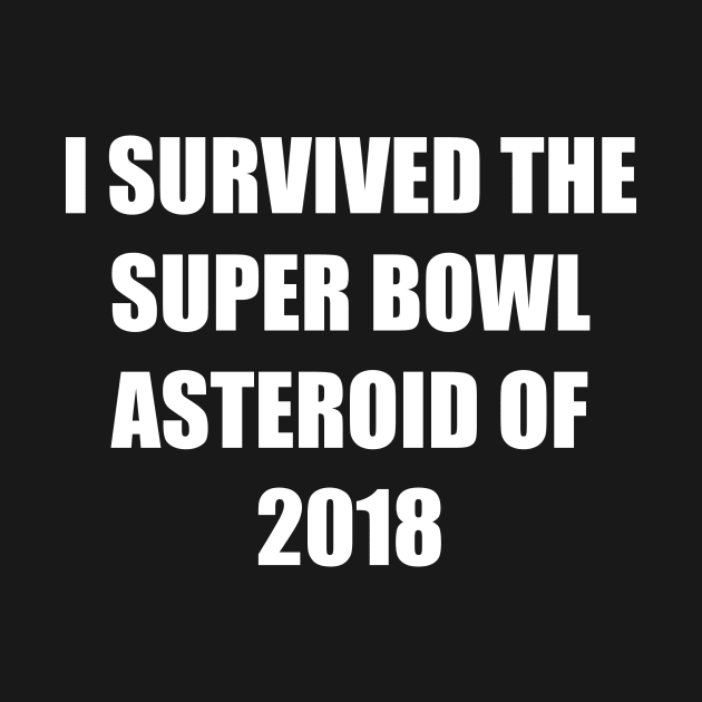 I Survived the Super Bowl Asteroid by skinnerdesign