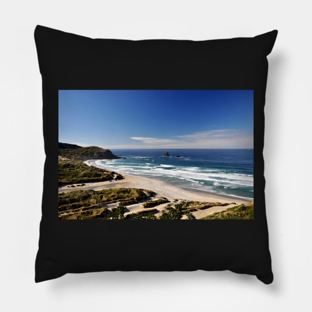 Nouvelle Zélande - Dunedin Pillow by franck380