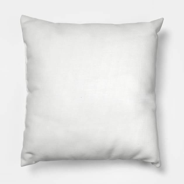 Gay Coloradan Pillow by blueduckstuff