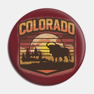 Colorado Vintage Outoor Design Pin