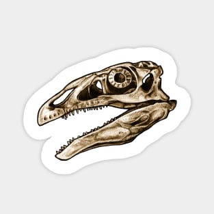 Dinosaur Skull Therizinosaurus Magnet