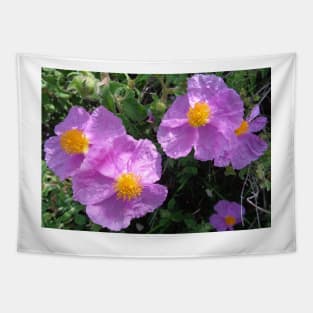 Wild Mountain Cistus Tapestry