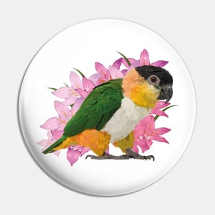 Caique Pin