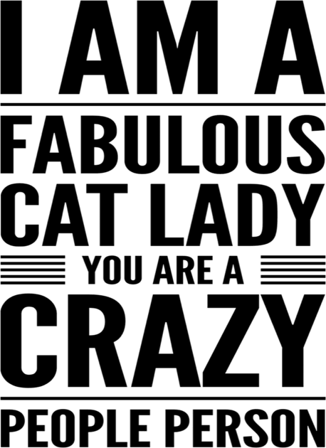 Fabulous Cat Lady Crazy People Person Kids T-Shirt by RetroSalt