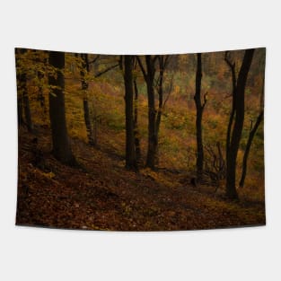 Dramatic Fall Tapestry