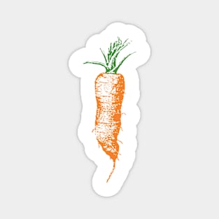 Vintage Carrot Magnet
