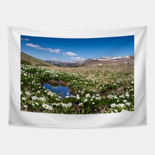 Summer in Colorado Tapestry