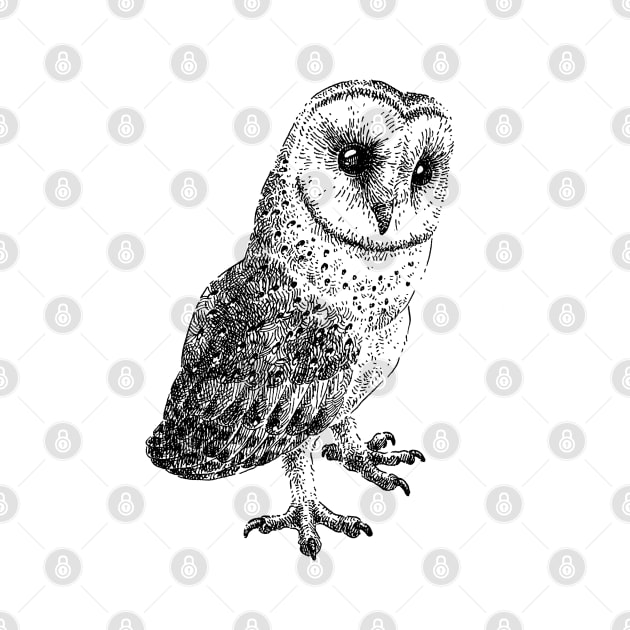 Owl drawing by NatureDrawing