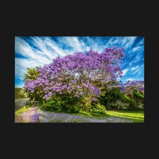 Jacaranda on Roghan Rd T-Shirt