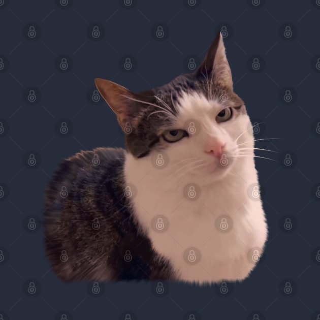 Sarcastic cat rolling eyes meme by PrimeStore