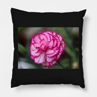 Garden life 3 Pillow