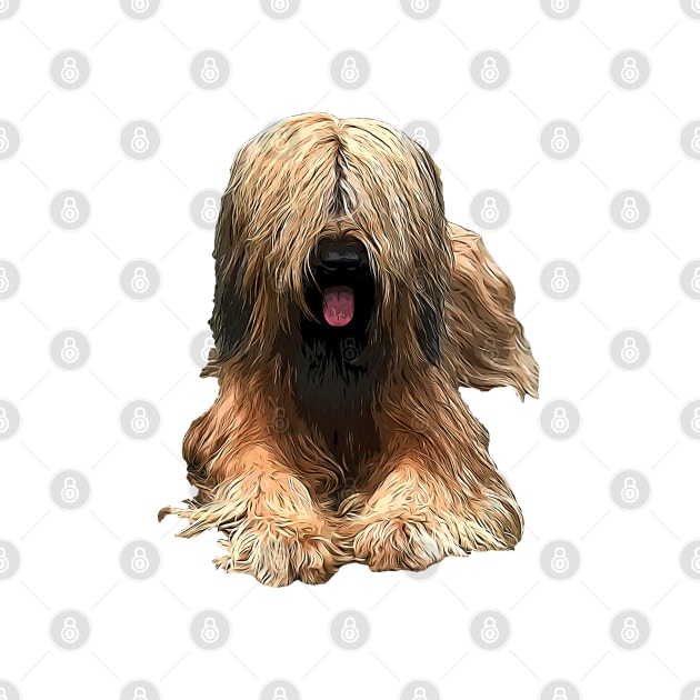 Briard The Stylish Look by ElegantCat