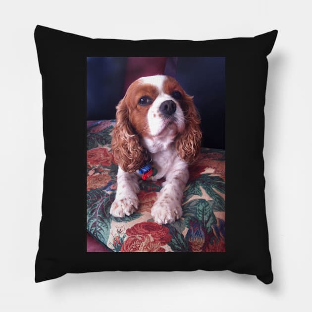 Roxy Pillow by rozmcq