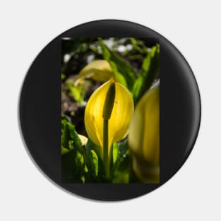 Skunk cabbage Pin