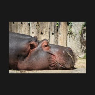 Sleeping Hippo T-Shirt