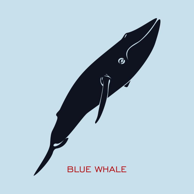 blue whale by masha