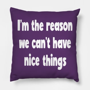 Why We Can't Have Nice Things Pillow